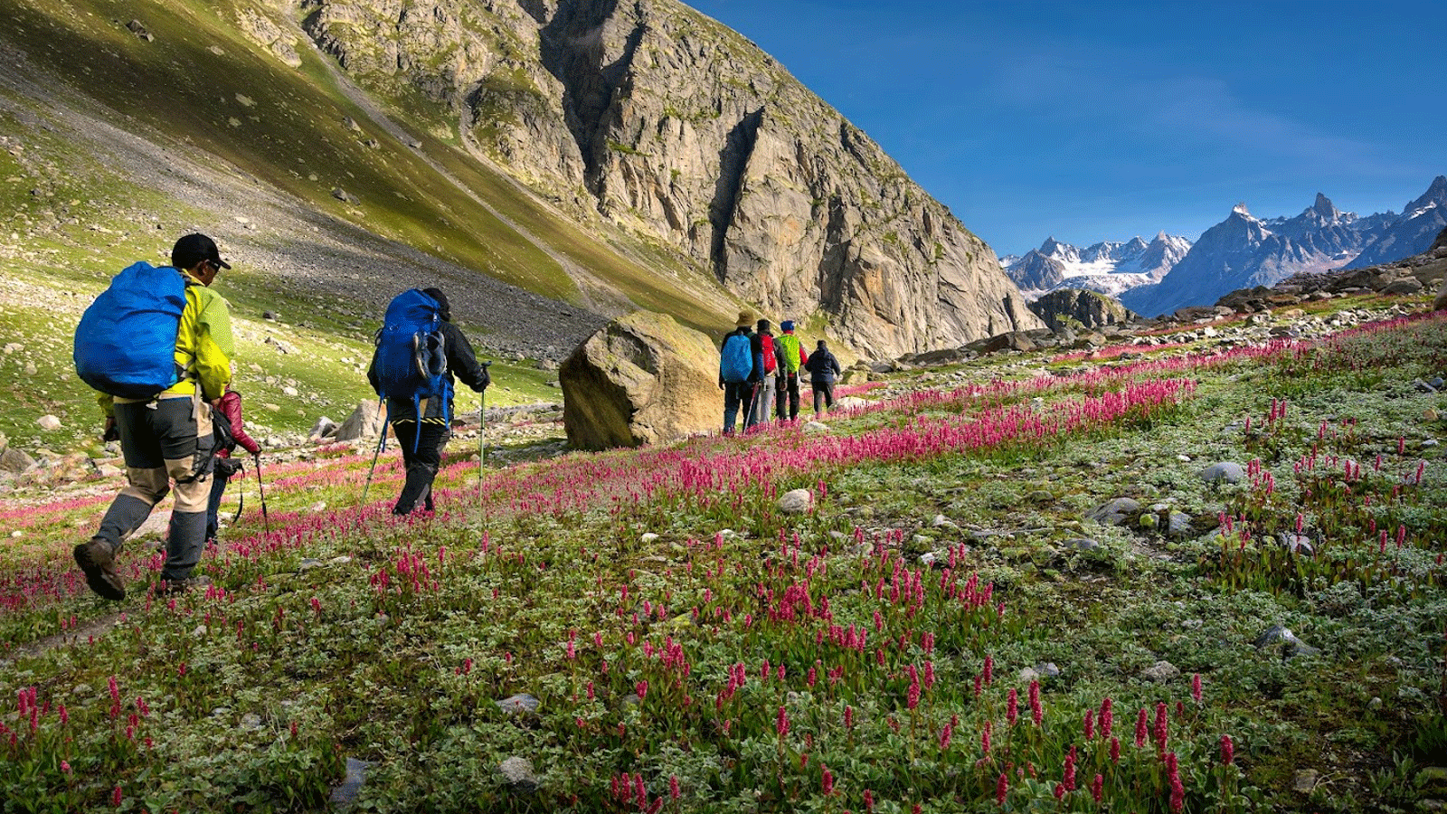 Các Phương Pháp Hồi Phục Không Thể Bỏ Qua cho Các Trekkers: Kết Thúc Buổi Tập với Một Cơ Thể Khỏe Mạnh