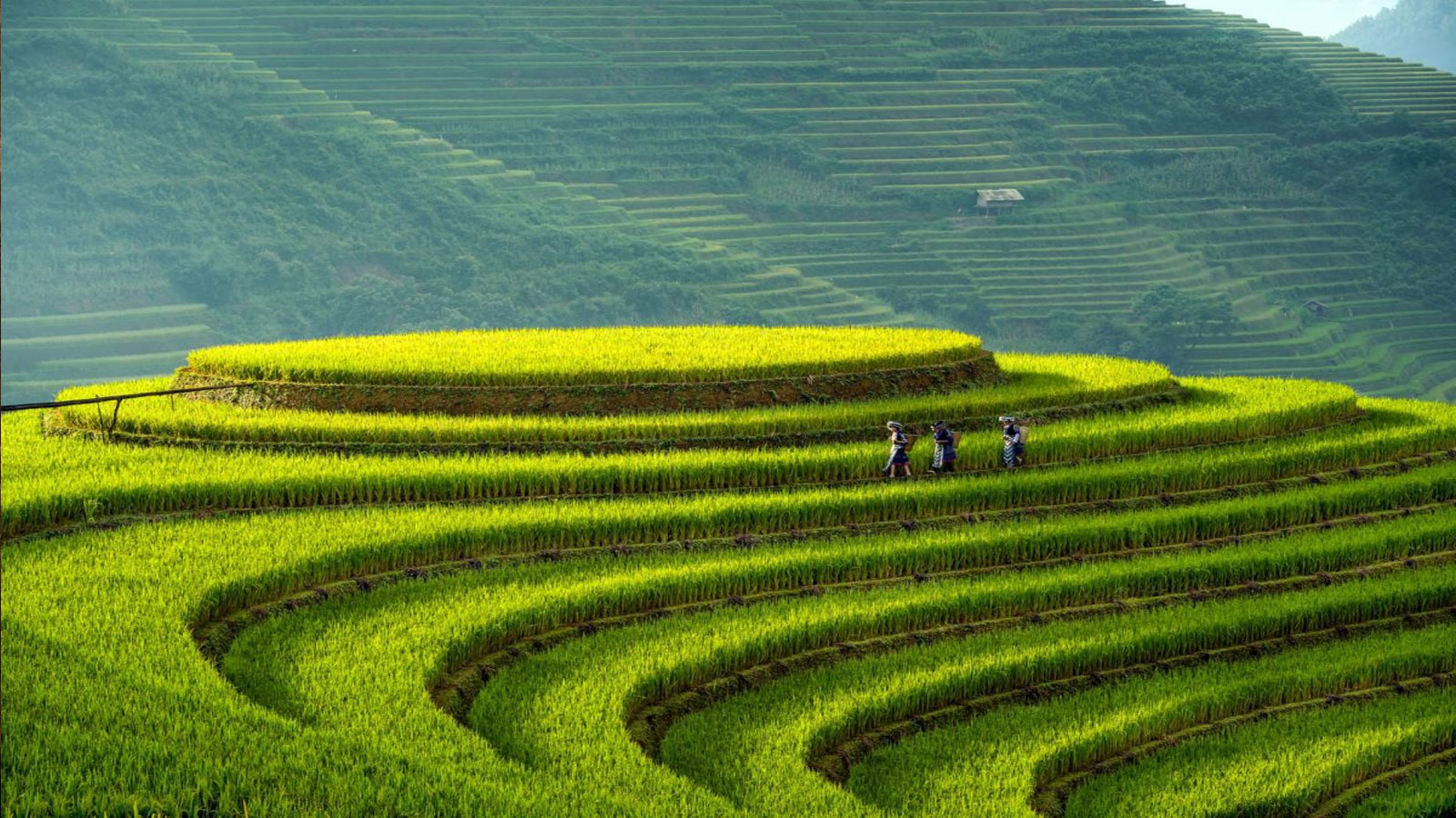 La Pan Tẩn - Khám Phá Thiên Đường Trên Đỉnh Núi Ở Việt Nam