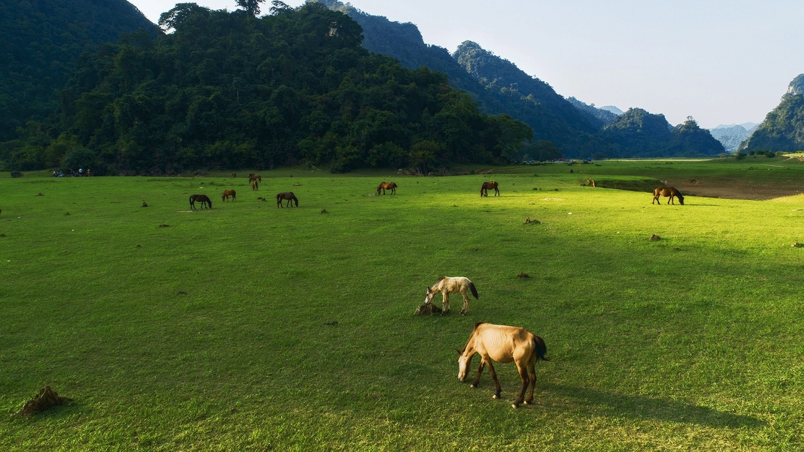 Khám Phá Thảo Nguyên Đồng Lâm - "Mông Cổ Thu Nhỏ" Chỉ Cách Hà Nội 2 Tiếng Lái Xe