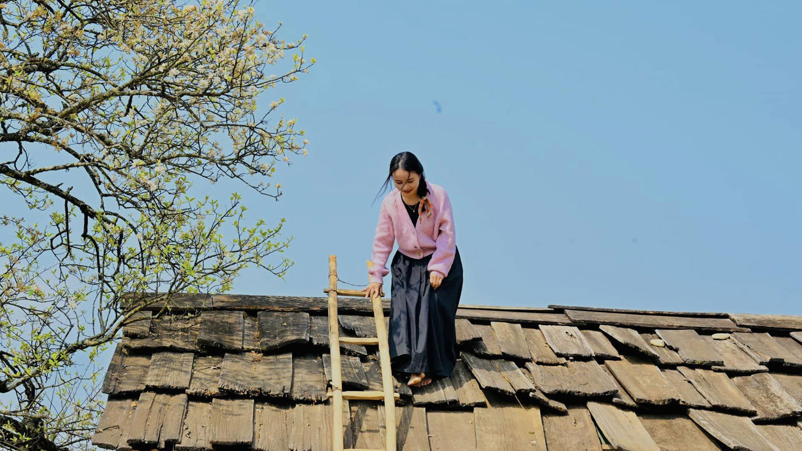Khám phá Trải Nghiệm Du Lịch Theo Cách Riêng - Cô gái Leo Nóc Nhà và Săn Ảnh Hoa Sơn Tra "View Triệu Đô" ở Sơn La