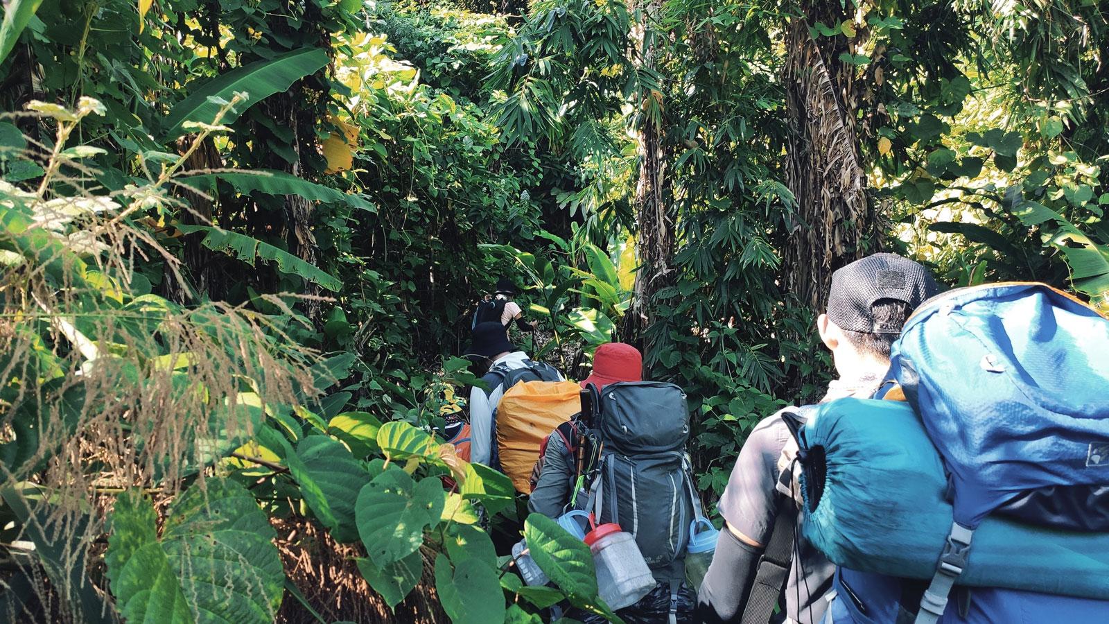 Cần chuẩn bị thể lực như thế nào trước mỗi chuyến đi trekking?