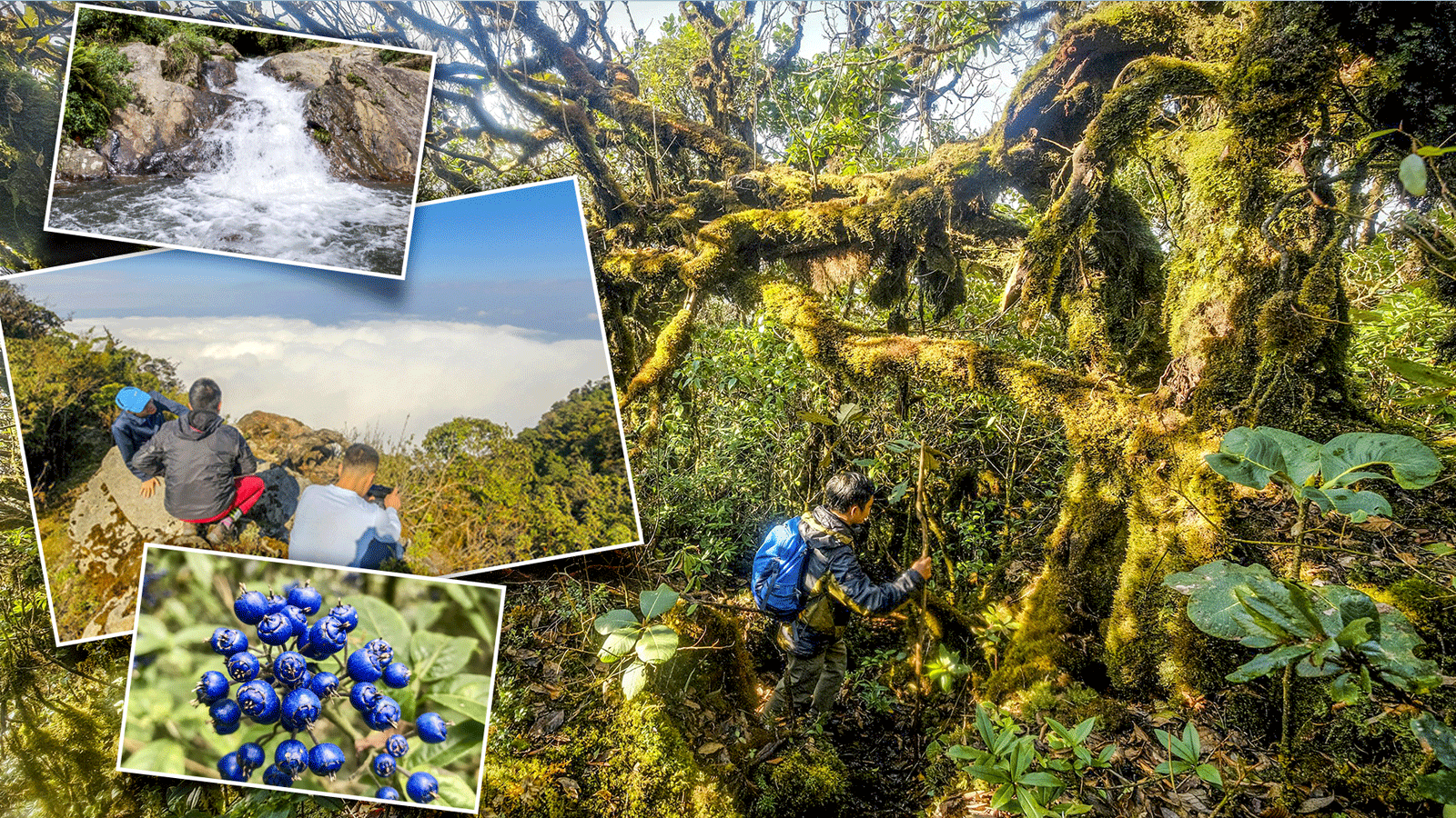 Khám Phá Hành Trình Trekking Đỉnh Sa Mu: Khám Phá Đỉnh Núi Mới ở Tà Xùa